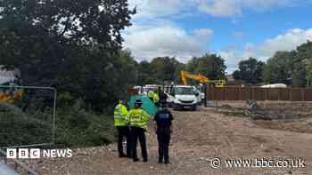 Construction work stops at wildlife spot