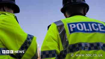 Driver dies in crash after police pursuit