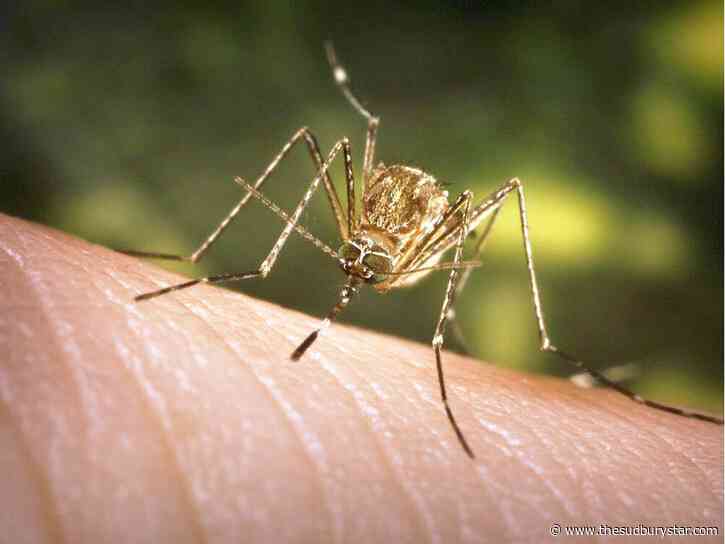 Crow in the Espanola area had West Nile virus: Public Health
