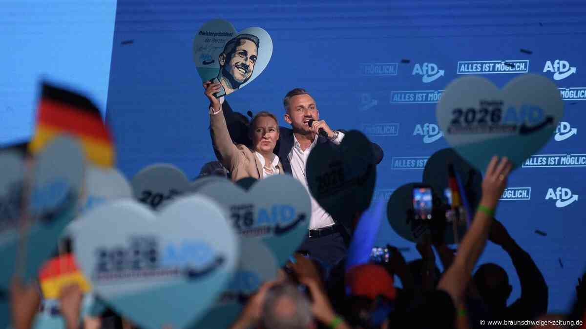 So radikal würde eine AfD-Regierung Sachsen-Anhalt umbauen