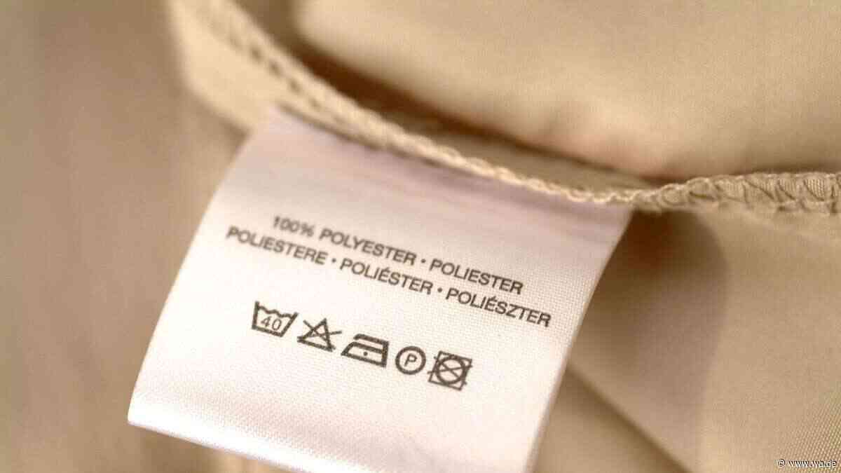 „Polyester“: Was hinter dem viralen Gen-Z-Schimpfwort steckt – und wen es treffen soll