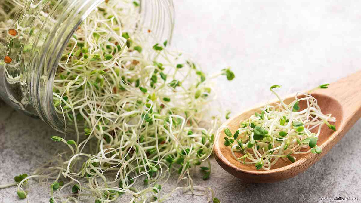 Sprouts recall expanded after multiple deadly bacteria found in more batches