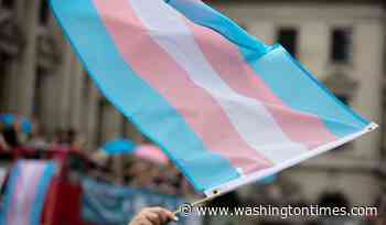 Gender ideology supporters more fond of political violence, left-wing authoritarianism, study finds