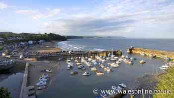 Saundersfoot hosts pirate ship street food festival that's free for kids this week