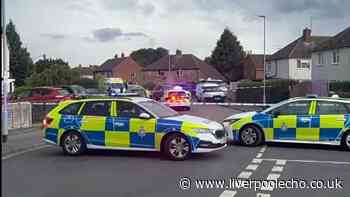Boy, 4, killed in off-road bike crash as two arrested