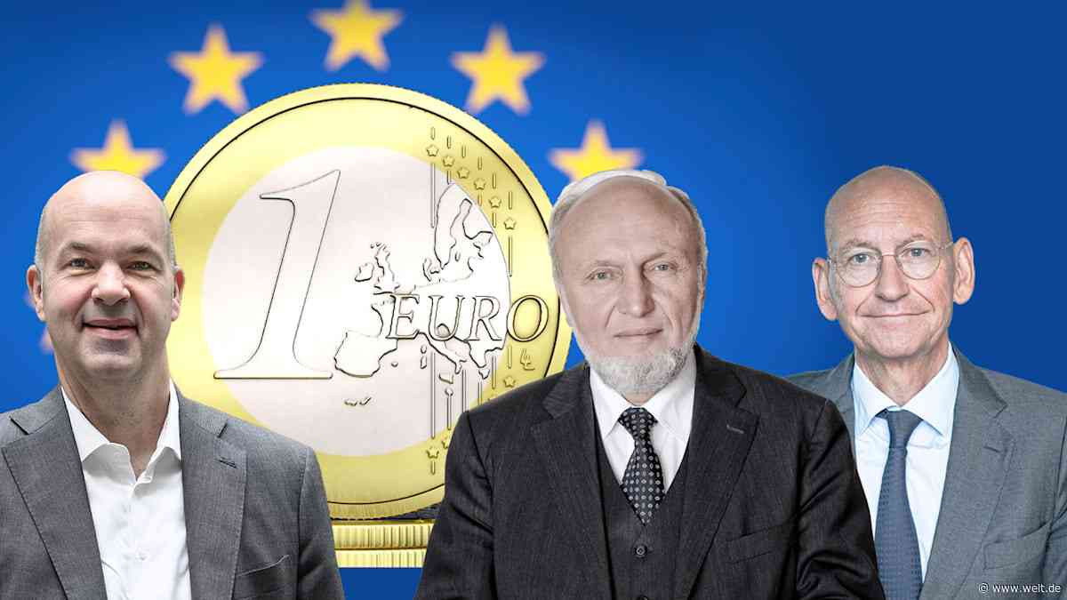 Gemeinsame Schulden für einen starken Euro? Die deutliche Antwort der Ökonomen-Elite