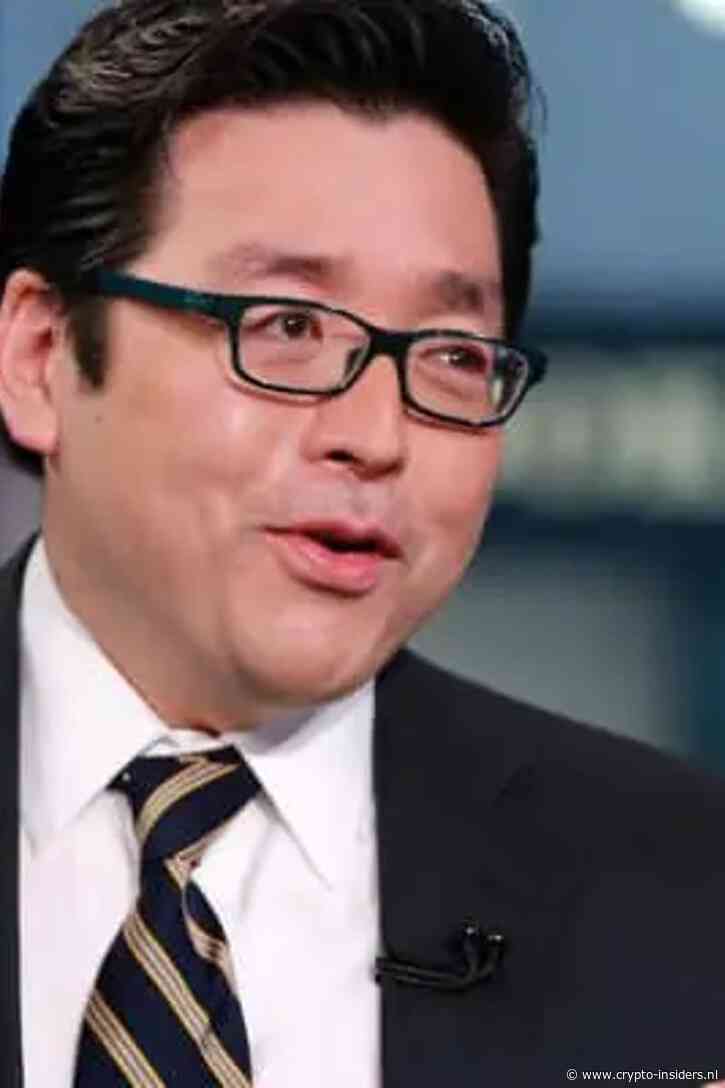 BitMine van Tom Lee koopt voor 113 miljoen euro aan ethereum