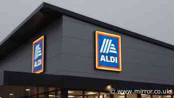 'Convenient' £17 Aldi gadget like '3 in 1' £25 The Range in stores on Thursday