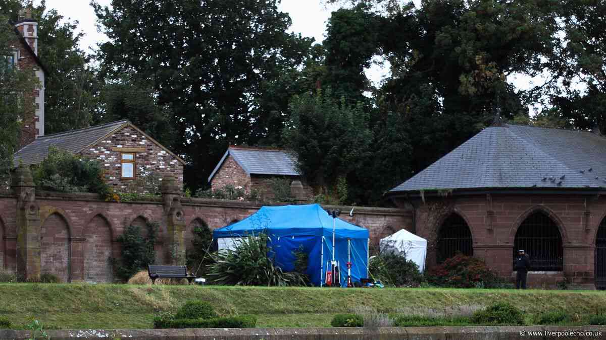 Pink Nike t-shirt vital clue in Stanley Park murder probe