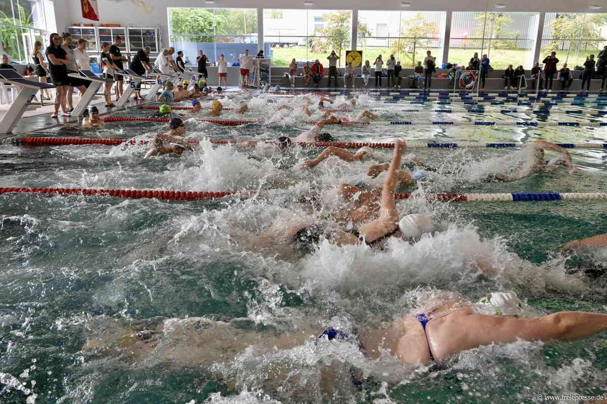 Zwickau-Triathlon steht bei der 13. Auflage vor einer Rekordveranstaltung