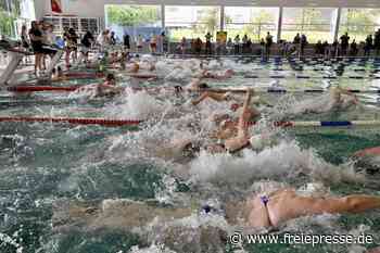 Zwickau-Triathlon steht bei der 13. Auflage vor einer Rekordveranstaltung