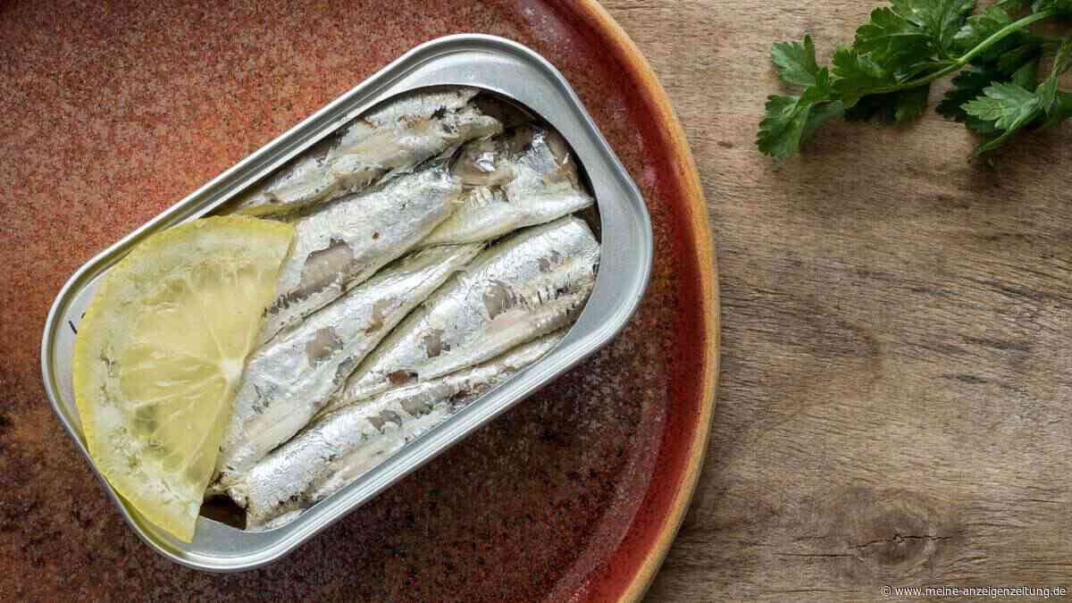 Grandiose Dose? Gesundheitliche Vorteile von Sardinen, die durch Studien belegt sind