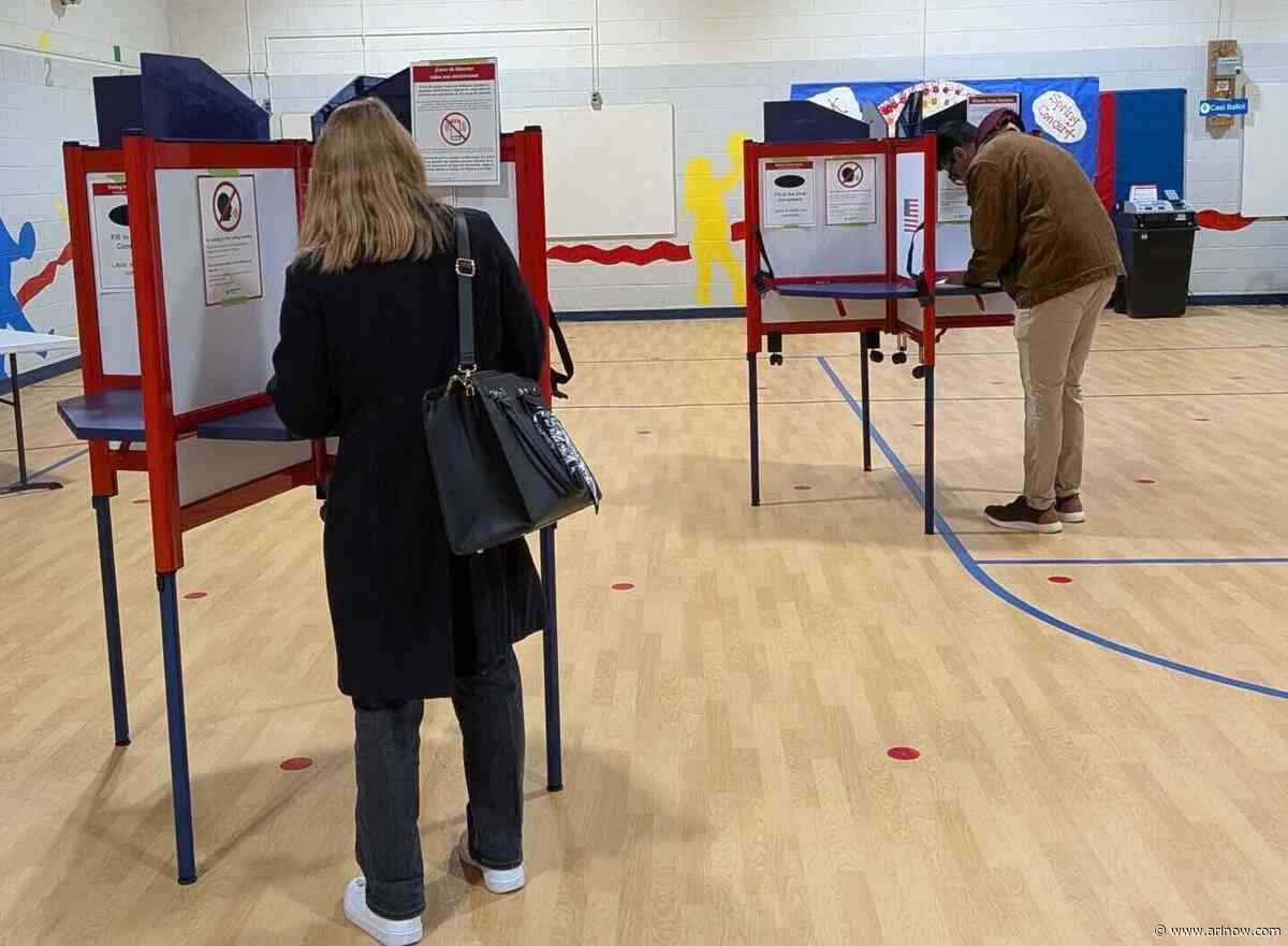 Town hall on voting rights and safety happening next month in Arlington