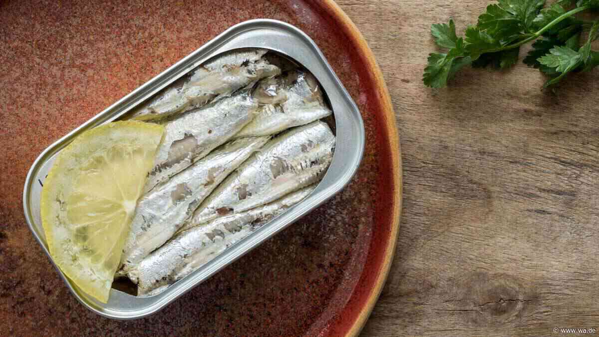 Grandiose Dose? Gesundheitliche Vorteile von Sardinen, die durch Studien belegt sind