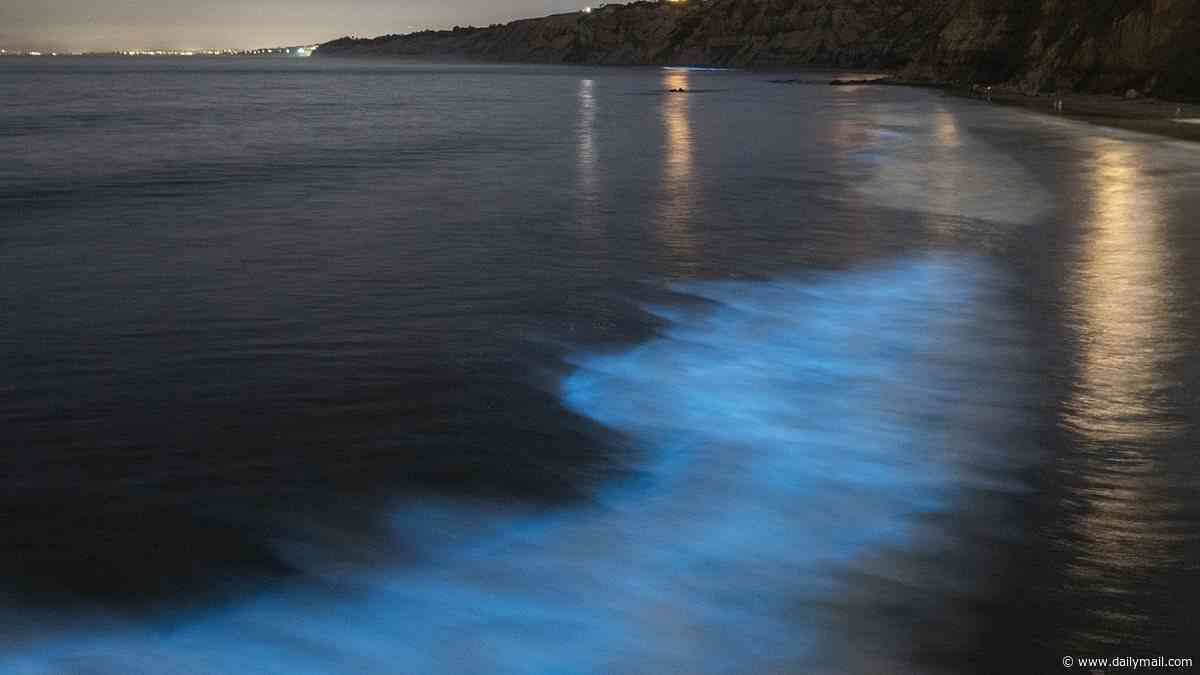 Mystery as friends both found dead after setting off in canoe to see eerie Bay Area luminescence