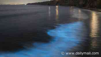 Mystery as friends both found dead after setting off in canoe to see eerie Bay Area luminescence
