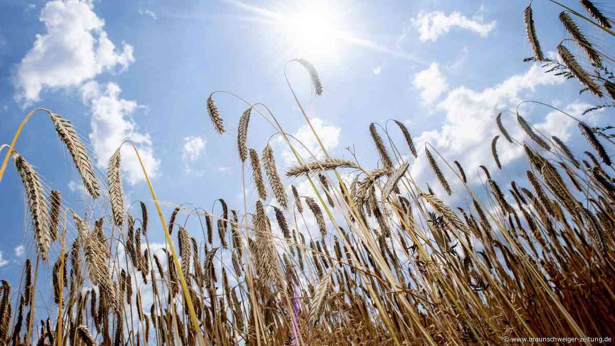 Niedersachsen erlebt viertwärmsten Juni seit 1881