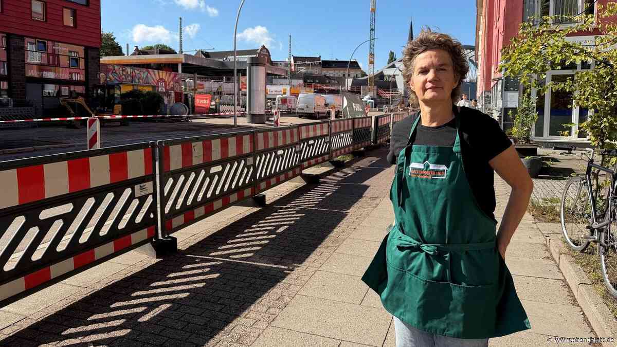 Erste Züge rollen über die neue Sternbrücke: Das sagen die direkten Nachbarn