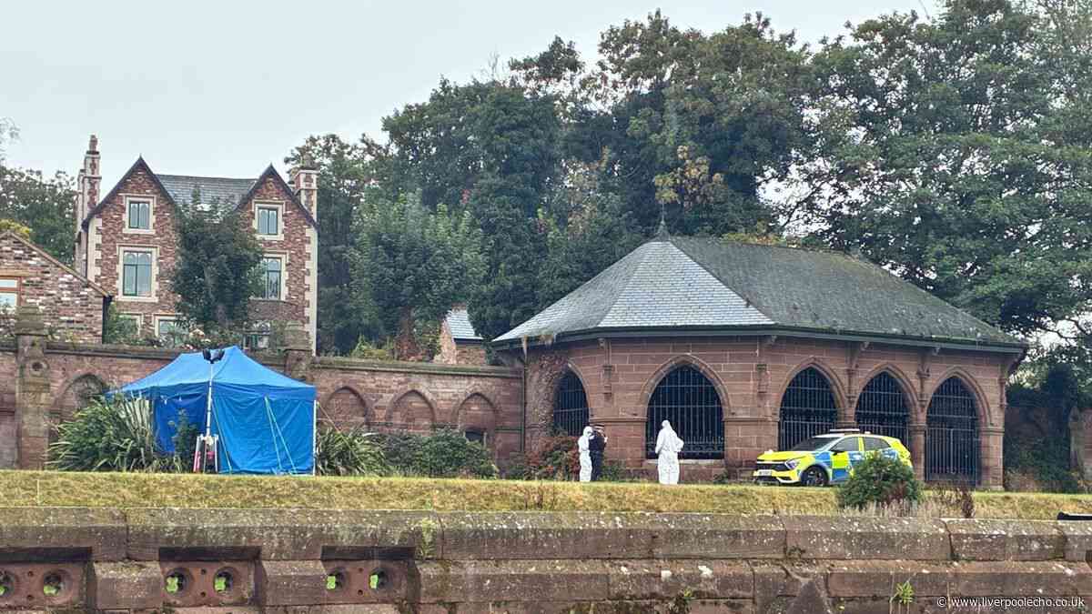 Pensioner found dead in Stanley Park but no one knows who she is
