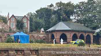 Pensioner found dead in Stanley Park but no one knows who she is