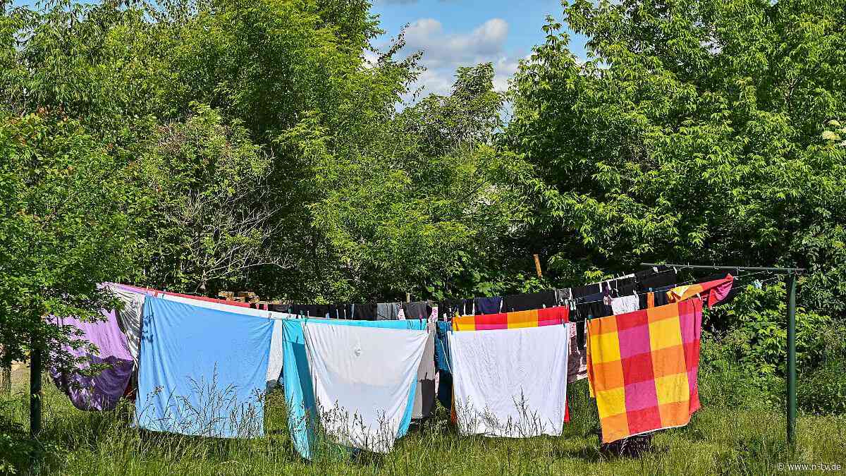 Fehler beim Trocknen: So schützen Sie Ihre Wäsche vor Ausbleichen oder müffeln