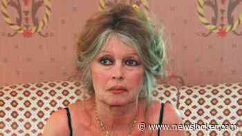 Persoonlijke bezittingen van Brigitte Bardot worden geveild in Parijs