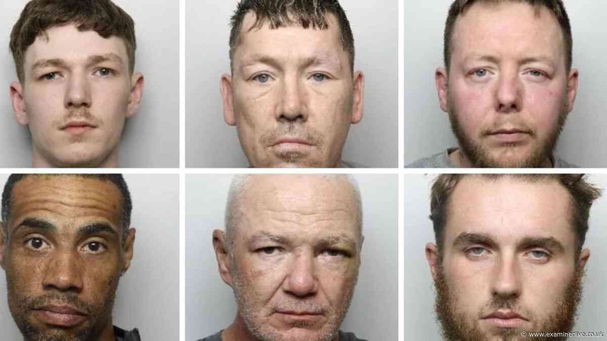Doncaster burglar caught after DNA found on cat flap among eight jailed in August