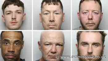 Doncaster burglar caught after DNA found on cat flap among eight jailed in August
