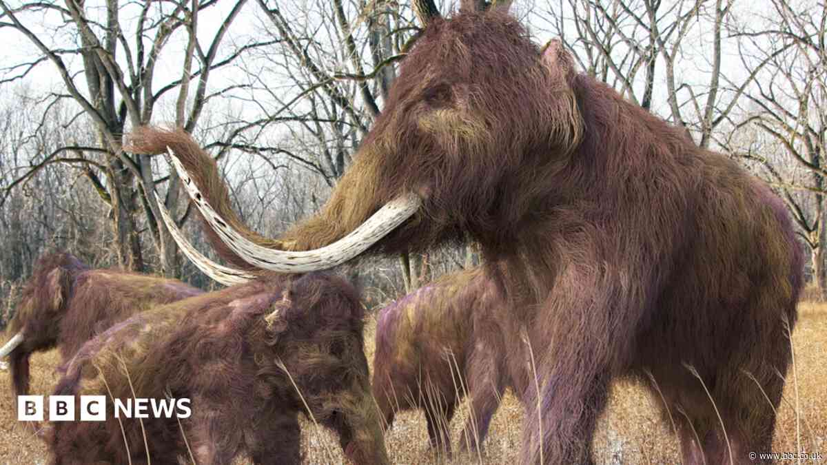 Woolly mammoths and a Victorian clink among heritage on show
