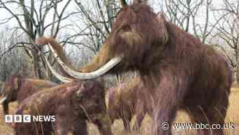 Woolly mammoths and a Victorian clink among heritage on show