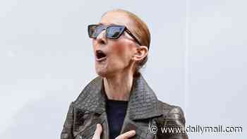 Celine Dion looks in great spirits as she waves to fans while leaving her hotel in Paris after making her first public appearance in two years ahead of her stage comeback