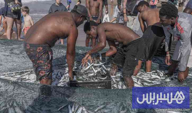 فيروس يهدد السردين بجنوب إفريقيا
