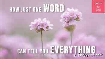 One Word That Reveals Whether Your Photo Works
