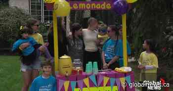 More than 700 participants for 2026 Lemonade Stand Day in Edmonton