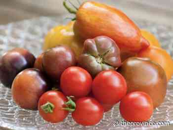 Why heirloom tomatoes are worth the effort
