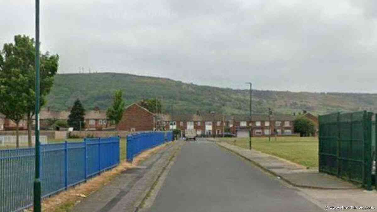 Two arrested on suspicion of firearms offences after vehicle rammed in Grangetown
