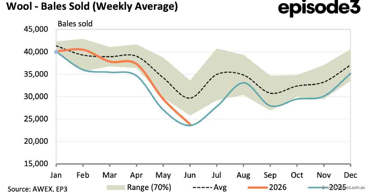 Wool's price recovery is real, but supply is doing most of the hard work