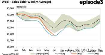 Wool's price recovery is real, but supply is doing most of the hard work