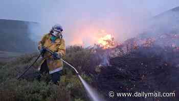 'Dangerous weakness' in fighting wildfires leaves public at risk, report finds