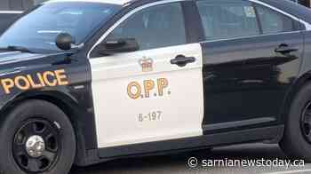 Youth charged following a disturbance in Lambton County