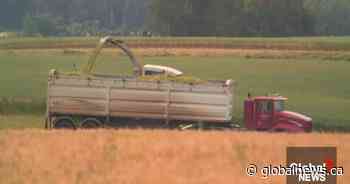 AgriStability reopened for Alberta farmers impacted by extensive summer rains