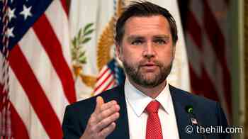 Vance calls El-Sayed 'very, very evil'
