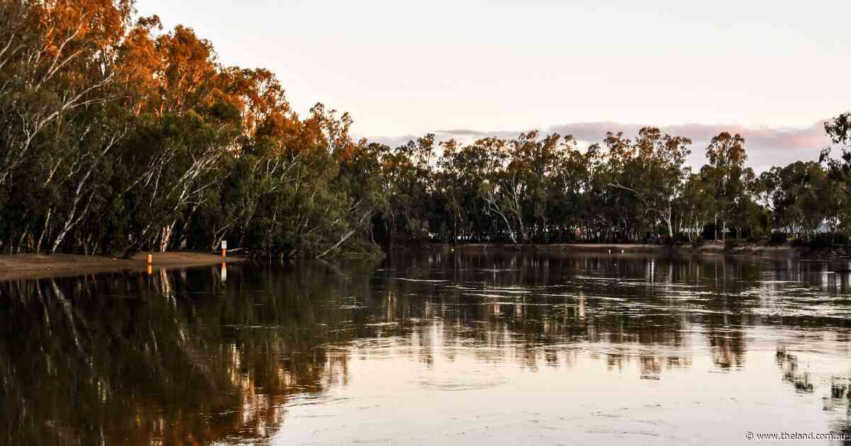 MDBA found not negligent in irrigator 'duty of care' class action case