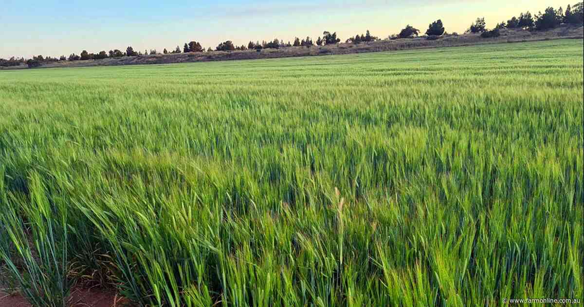 Farmers to use diesel 'well beyond' 2050 under $15B govt cash for trash plan