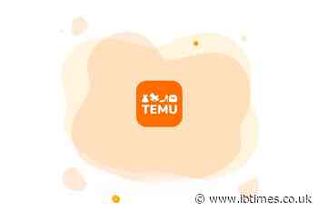 Temu's $962M Meta Ad Blitz Under Fire: 73% of Top Creators Likely Fake, 47 Based in Russia and China