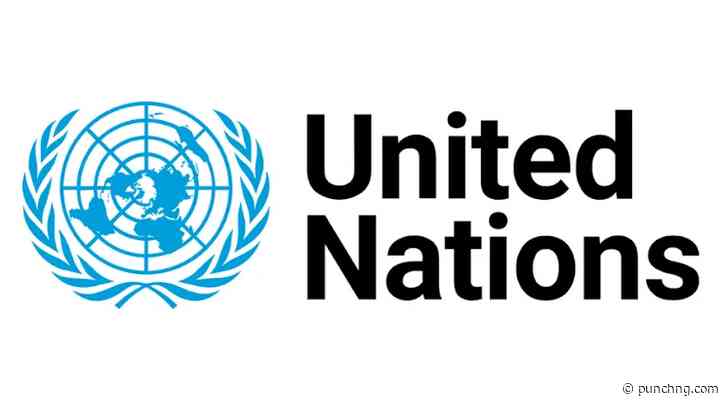 70% of Nigeria’s food farmers, processors are women — UN