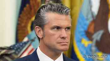 Trump on talk of Hegseth 2028 run: 'It's very early to talk about that'