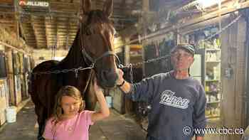 Case of equine herpesvirus in N.B. leads fairs to postpone or cancel horse events