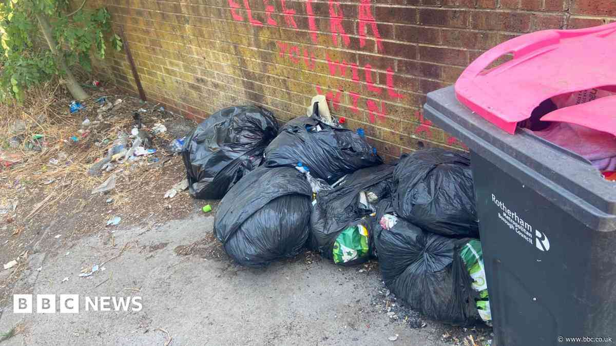 Thousands spent clearing fly-tipping as costs rise
