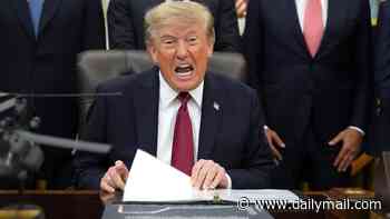 Trump orders shock voter fraud crackdown across nine states as secret ICE blitz starts TOMORROW